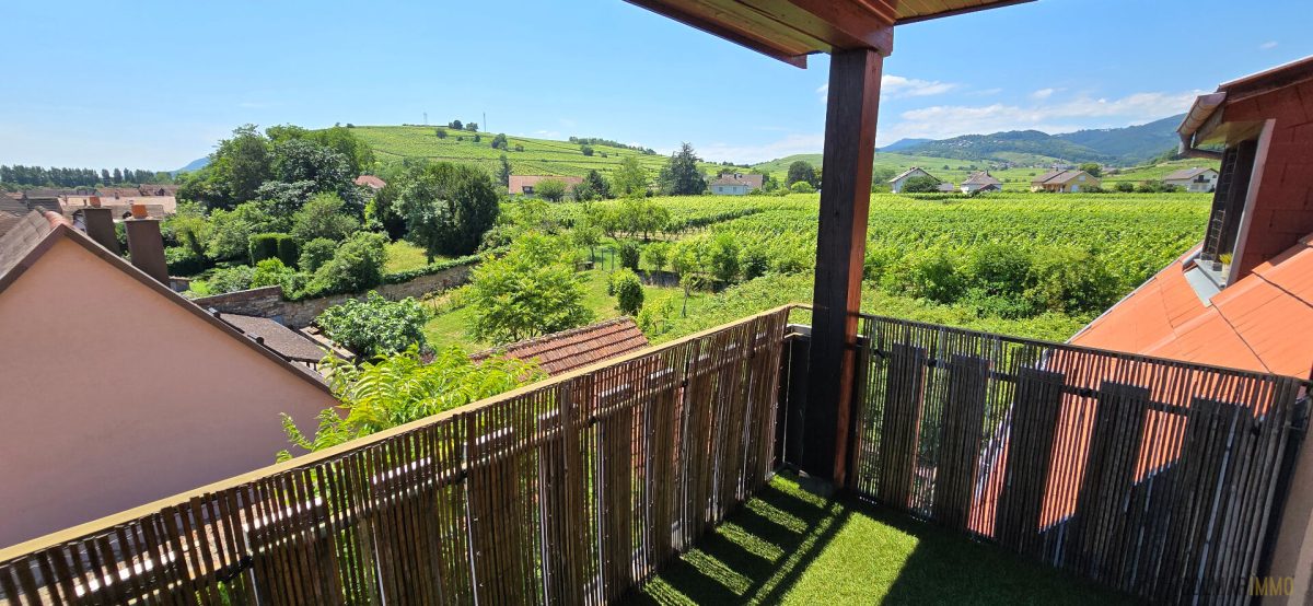 Duplex Ingersheim