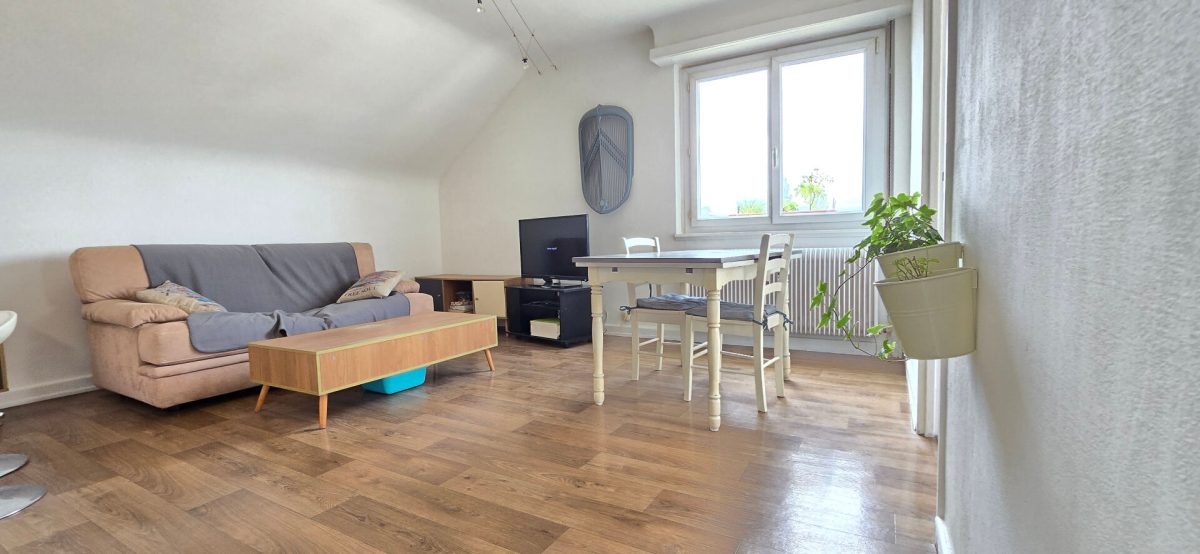 SPÉCIAL INVESTISSEUR  Quartier des Musiciens à Colmar