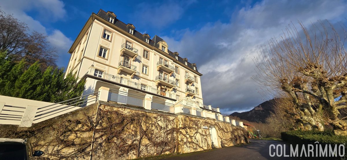 Vue dominante sur Ribeauvillé